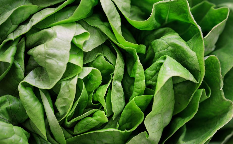 Salades qui vont avec un gratin : 6 idées fraîches